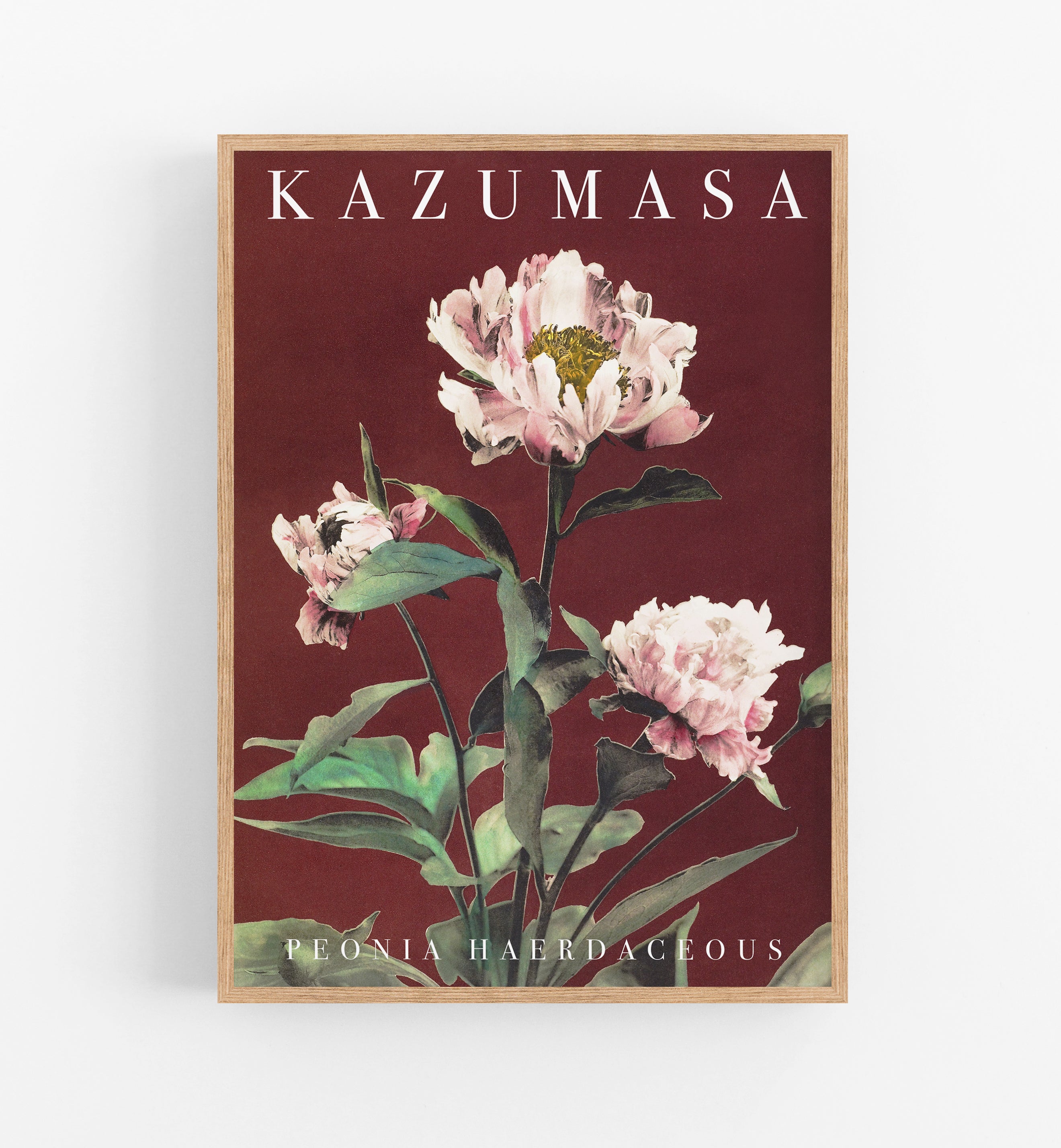 Kazumasa Peonia