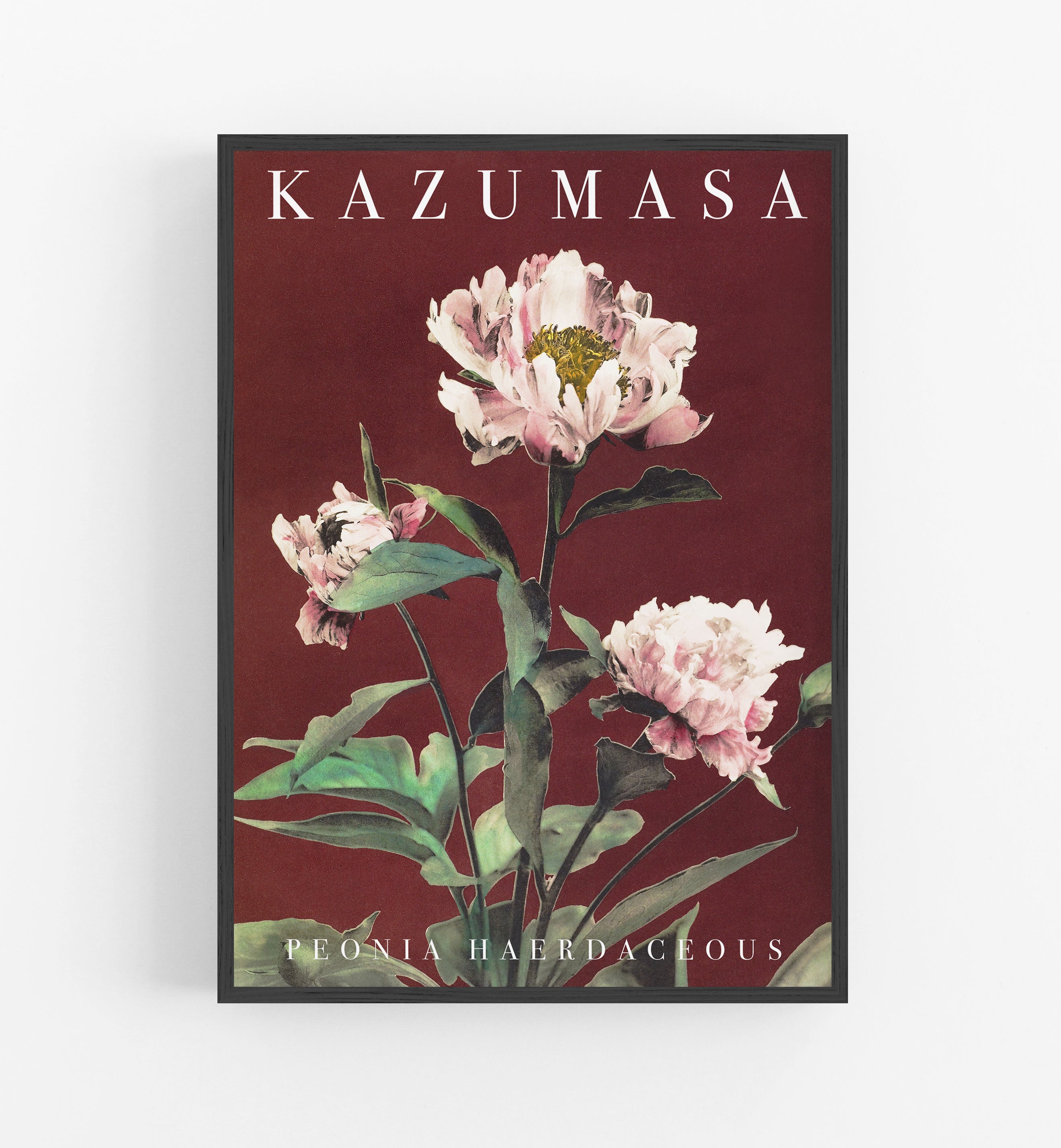Kazumasa Peonia