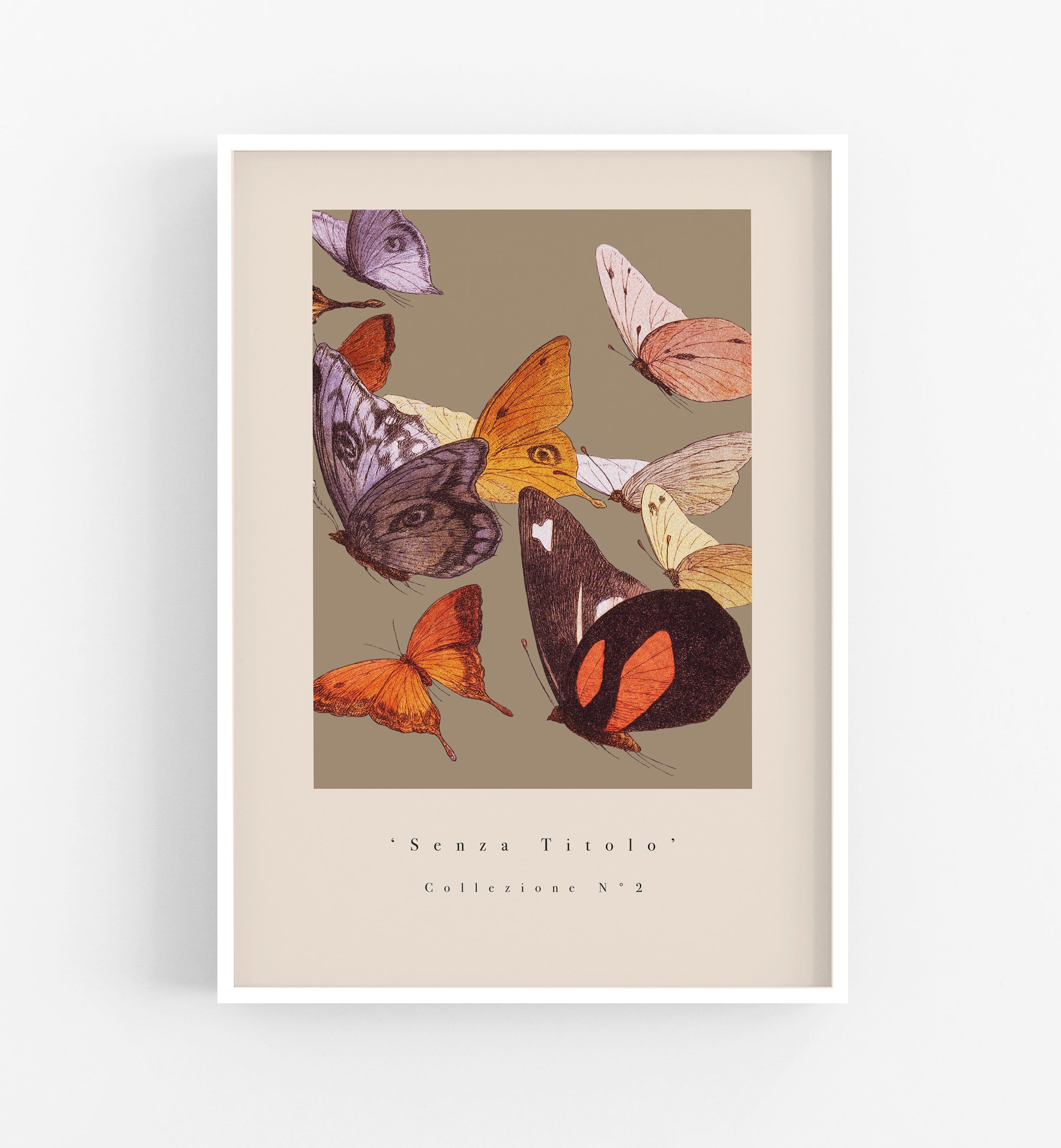 Senza Titolo Collezione N°2