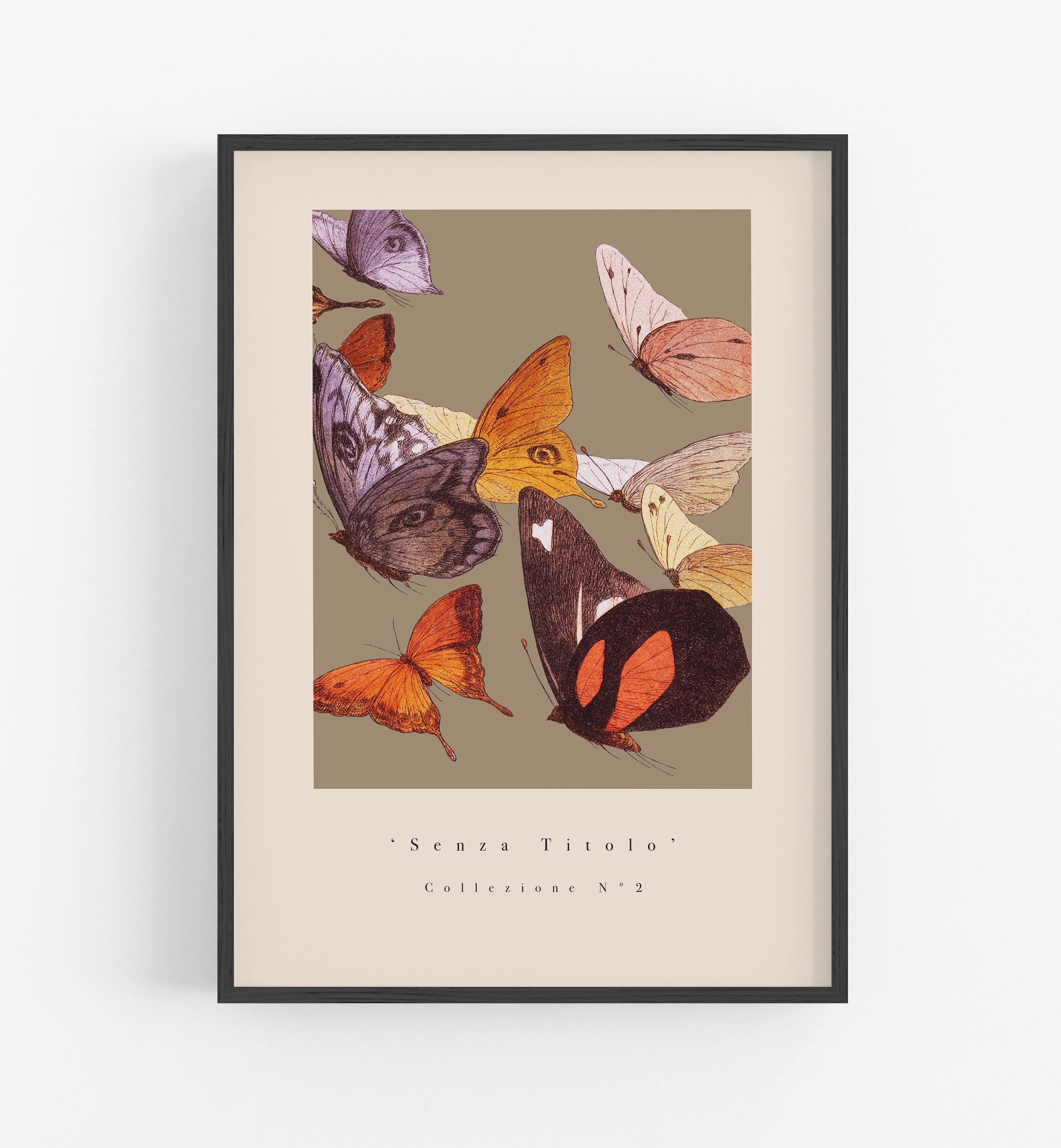 Senza Titolo Collezione N°2
