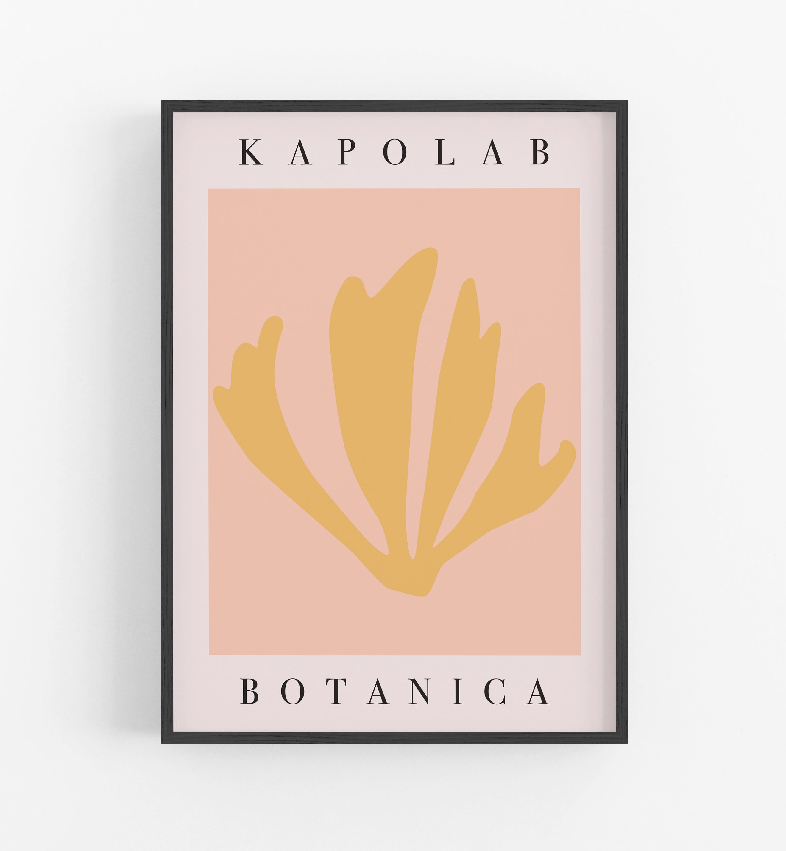 KapoLab Flower Botanica