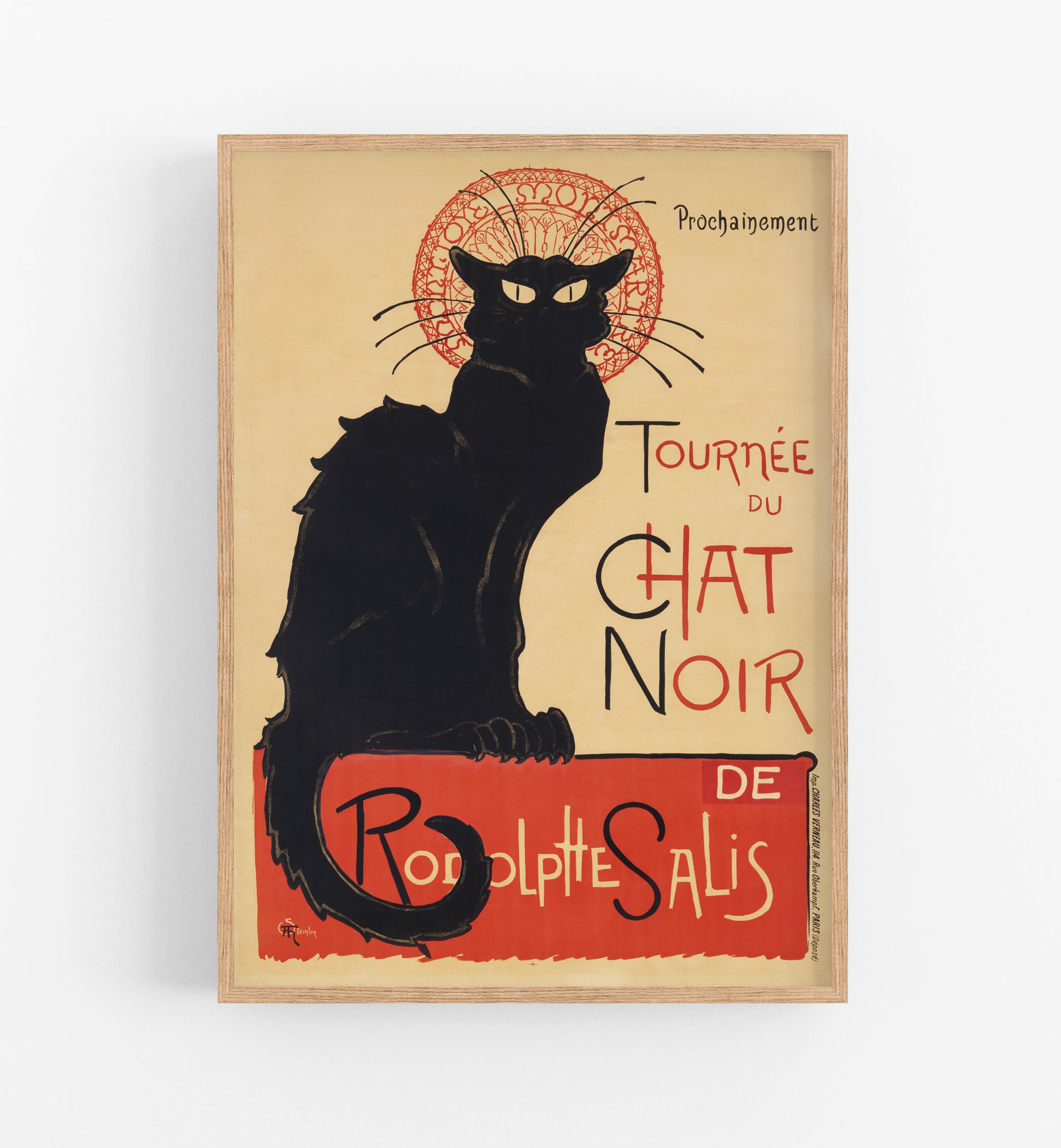 The Chat Noir