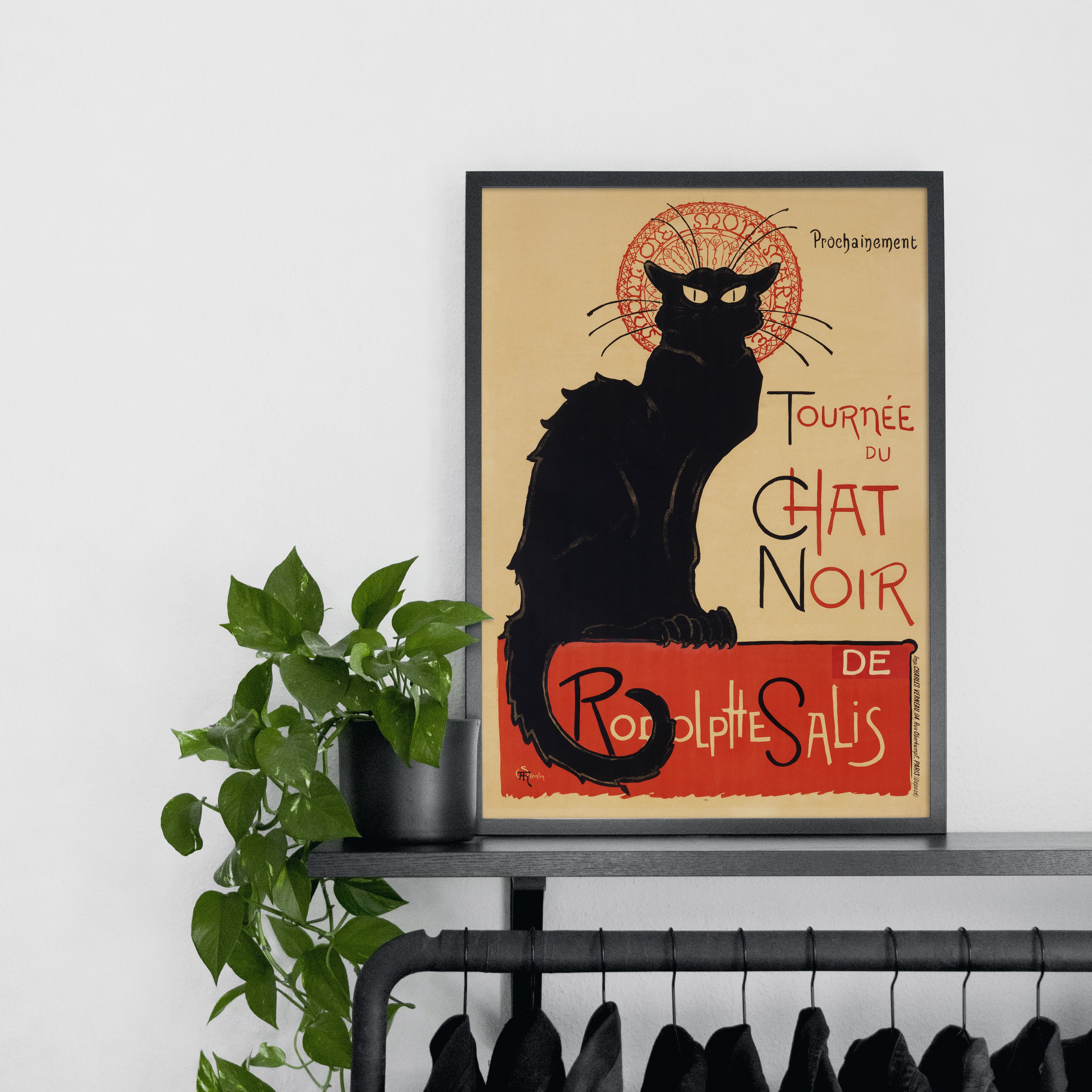 The Chat Noir