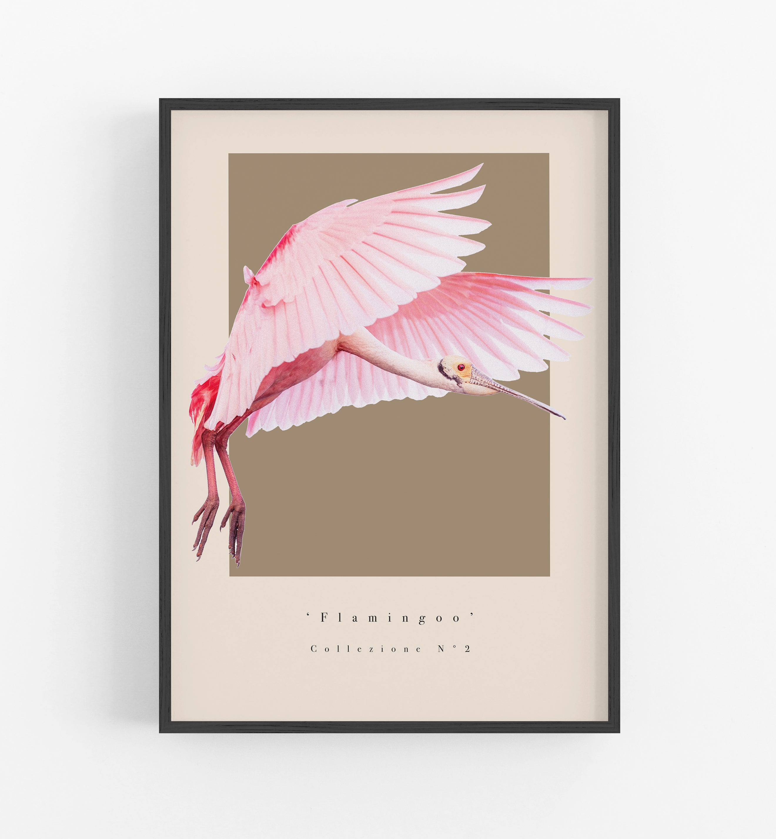 Flamingoo Collezione N°2
