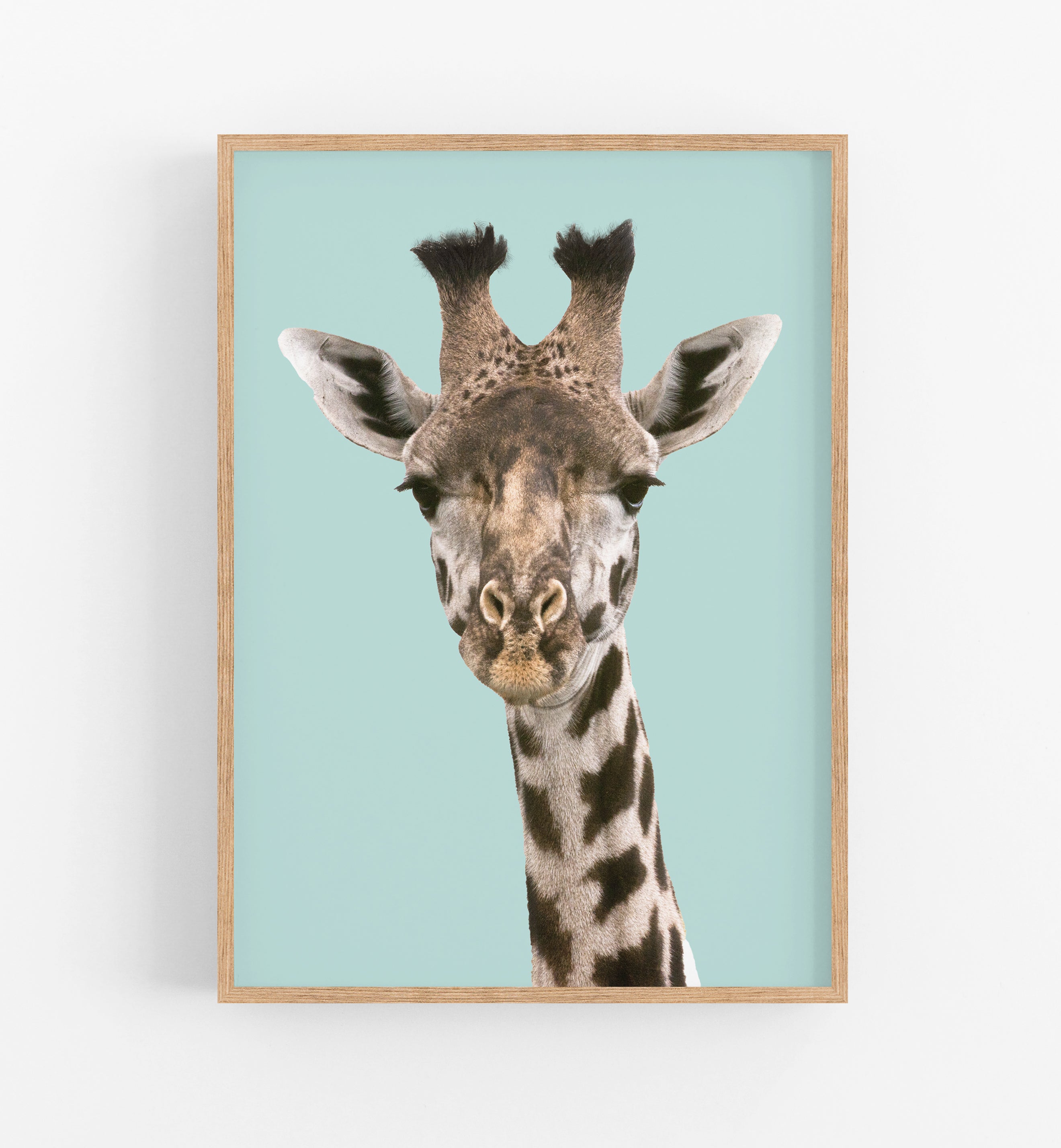Giraffa Art