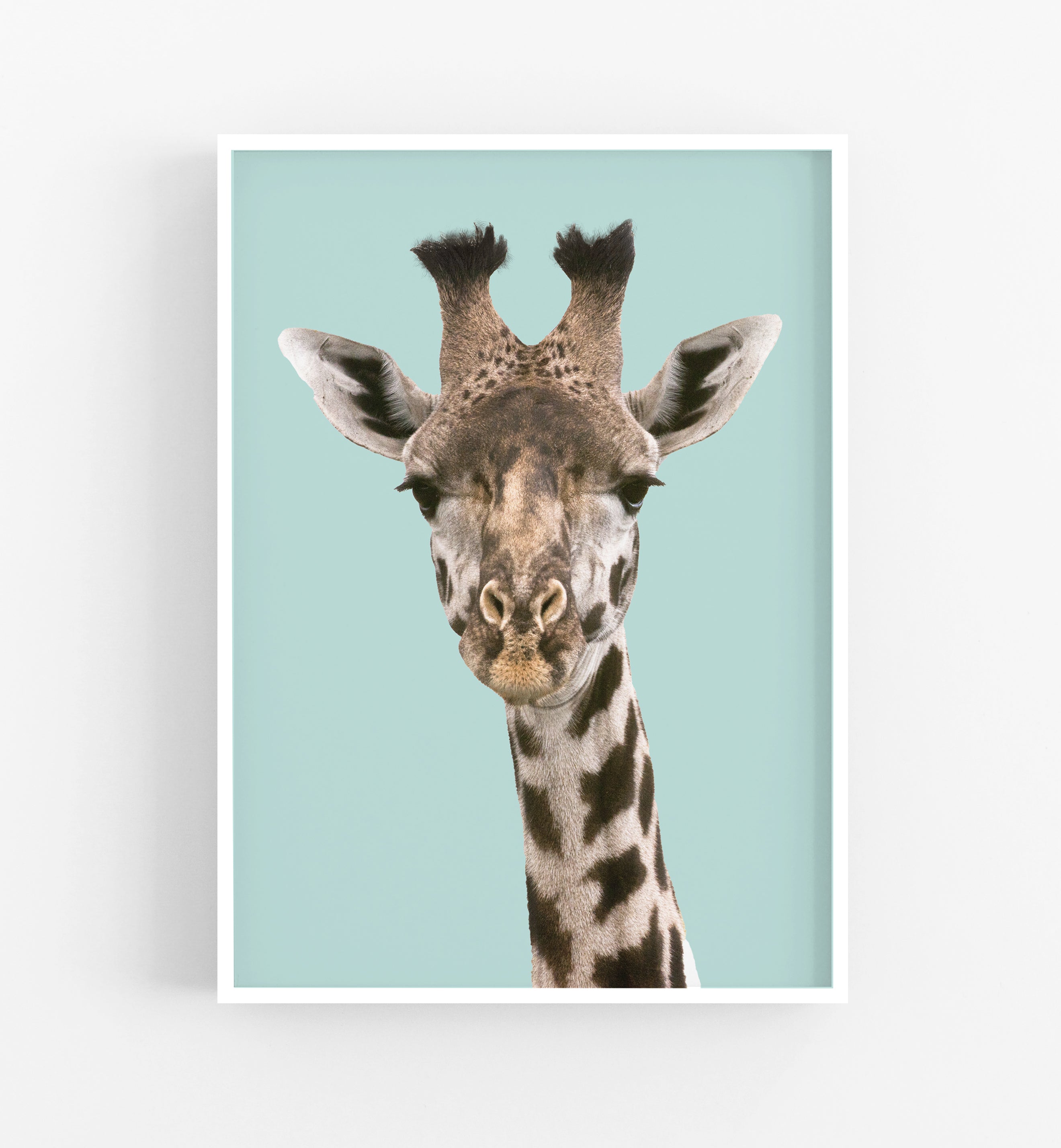 Giraffa Art