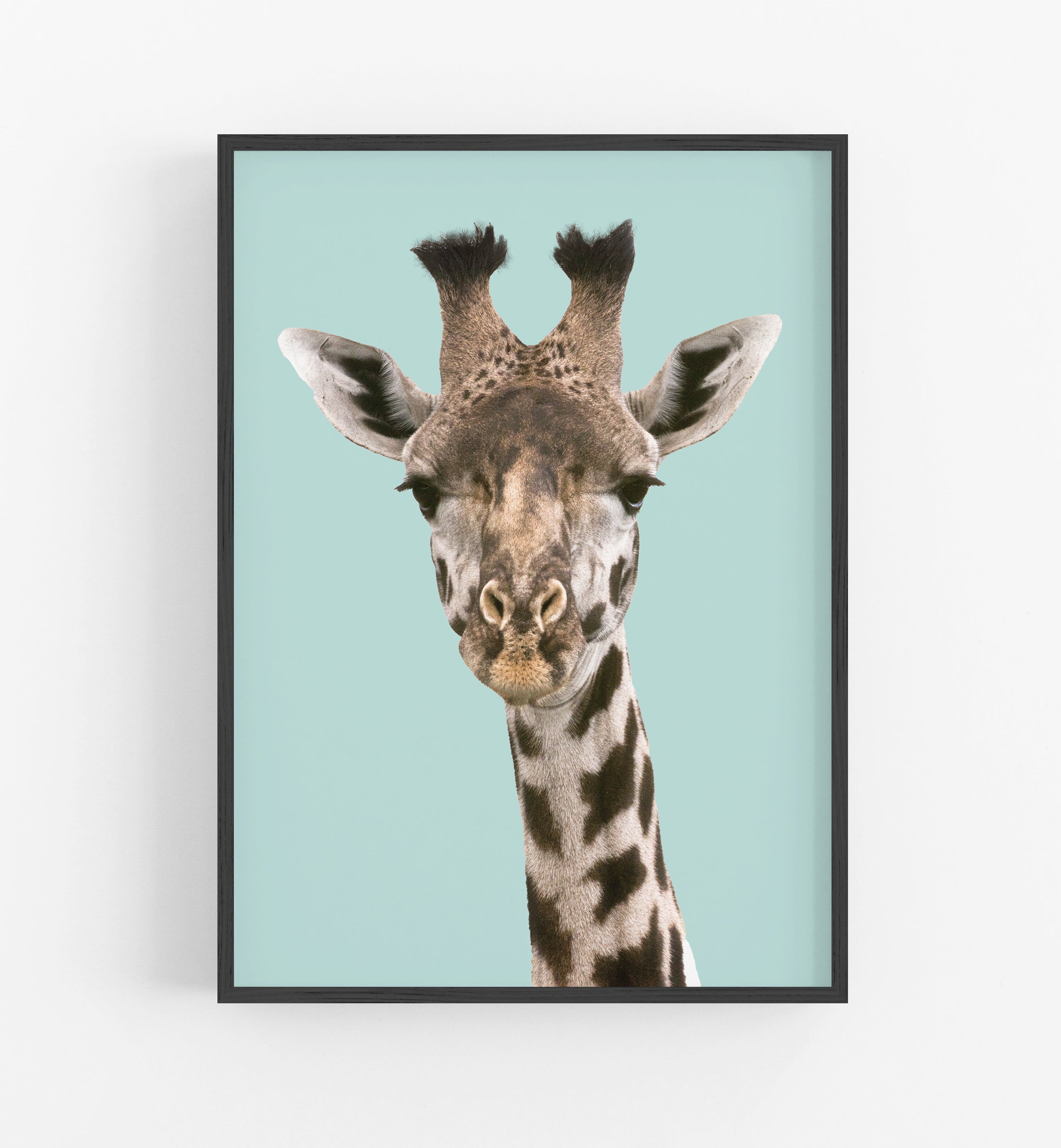 Giraffa Art