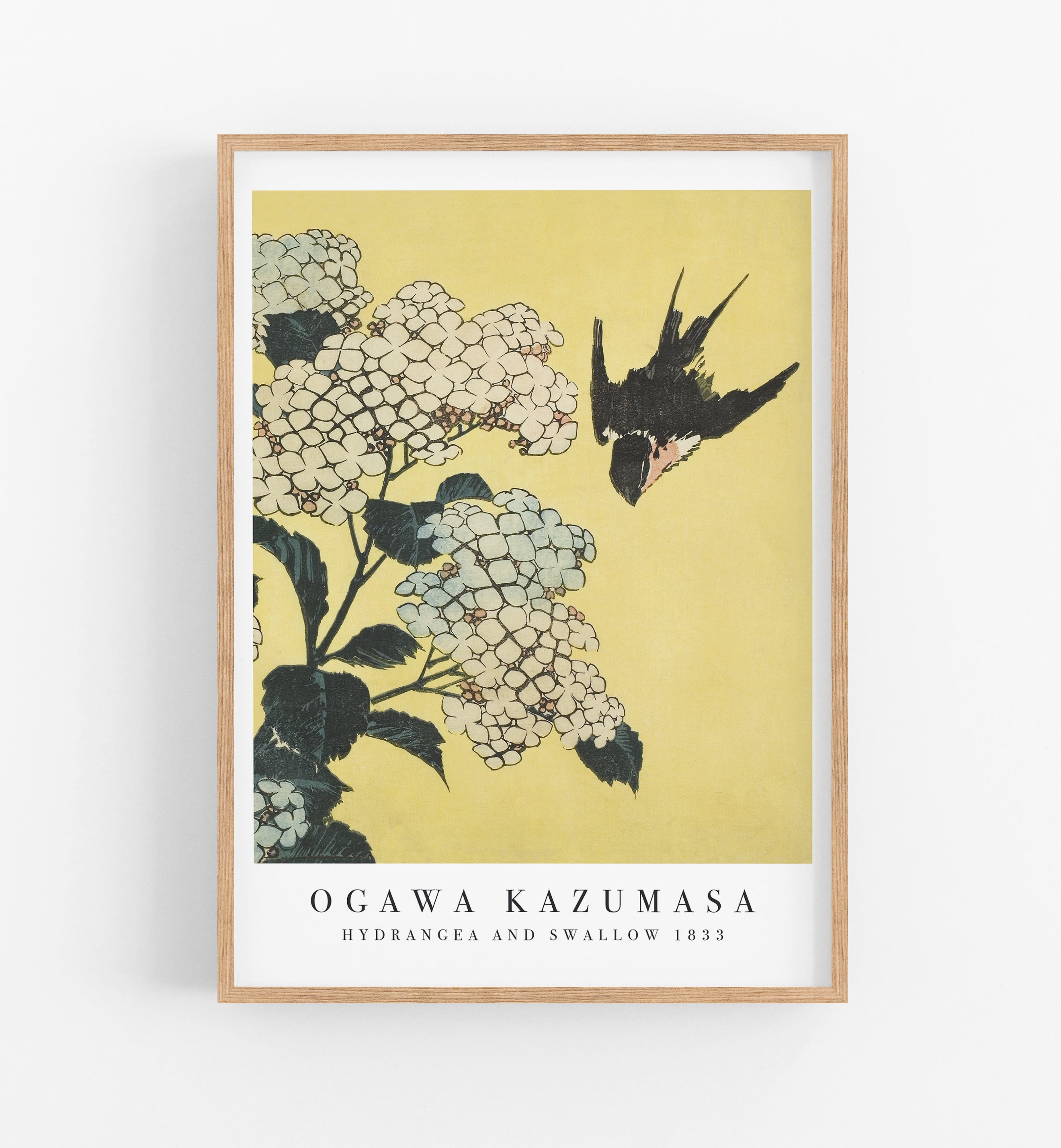 Kazumasa Hydrangea and Swallow