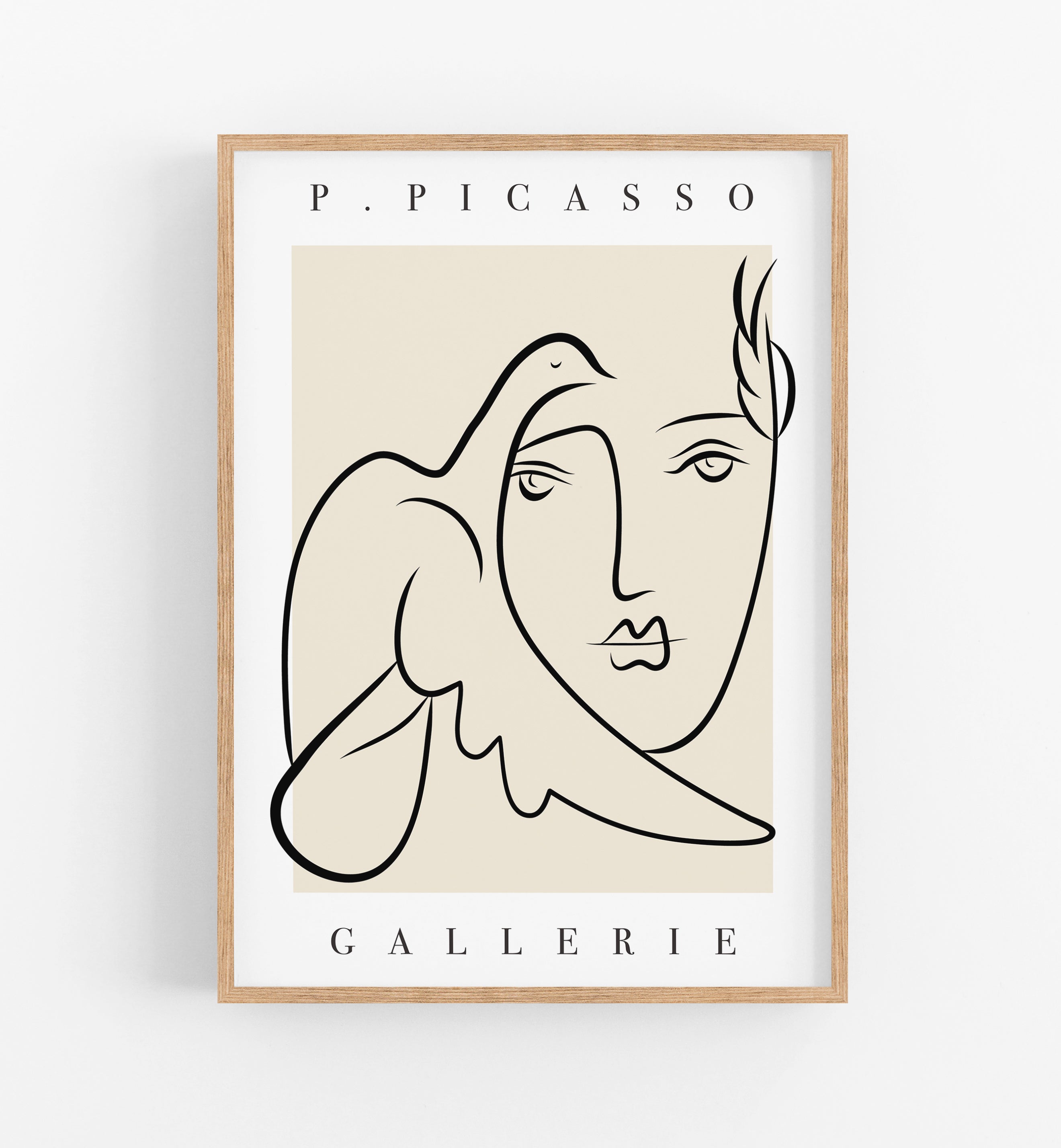 Picasso Colomba
